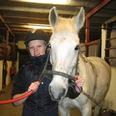 Anden særlig race Elvis Vibjerg (SOLGT)