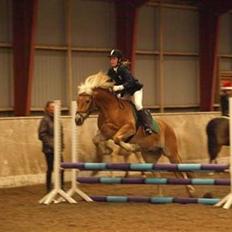 Haflinger Thor (red) Solgt 