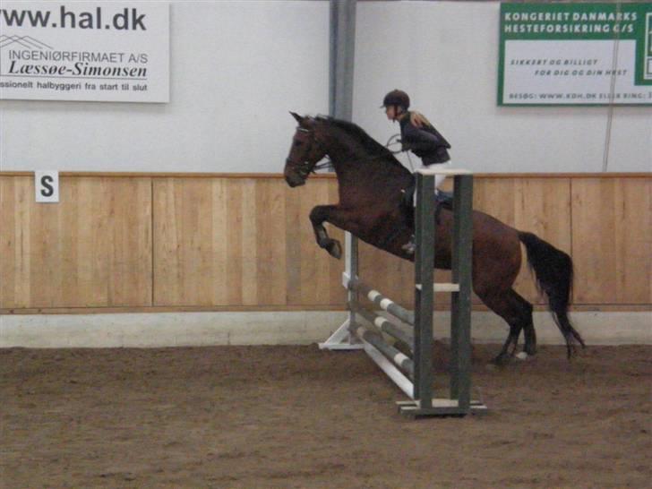 Oldenborg Mon Cherie - GLK ministævne oktober 09 billede 20