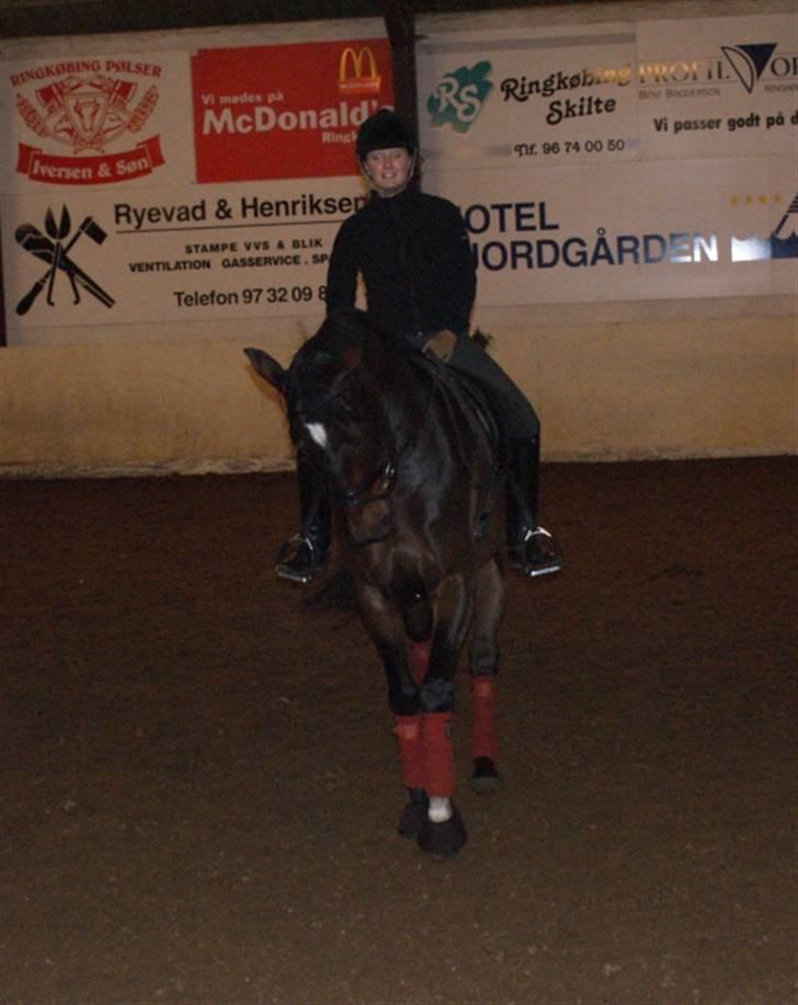 Dansk Varmblod Midt-West Di Caprio R.I.P billede 12