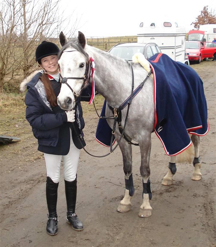 Welsh Partbred (Sec F) Myrebjergets Skywalker-A pony - Efter stævne, første i 2009. billede 6