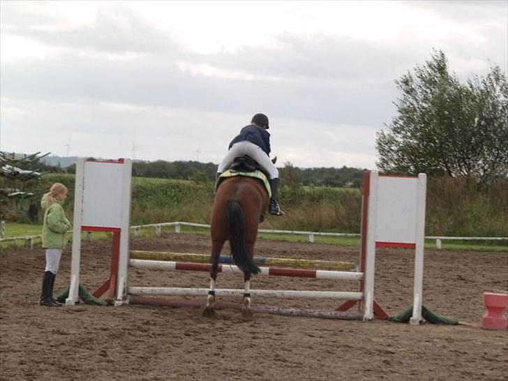 DSP Haahr's Kalahari* rider * - vores første springstævne :) i ørsted. her er vi på opvarmningen  billede 2