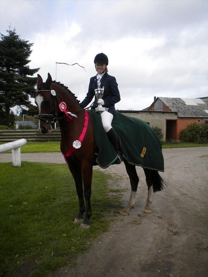 DSP Haahr's Kalahari* rider * - Yes yes, sanne&kalahari, VINDER AF FARMLAND CUP 2010 :-) // taget af mig  billede 5