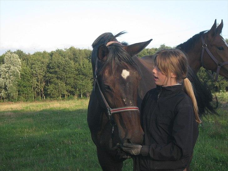 Dansk Varmblod Marco Bell - Words can't express what you mean to me.
Even though you're gone, we still a team. <3 billede 6