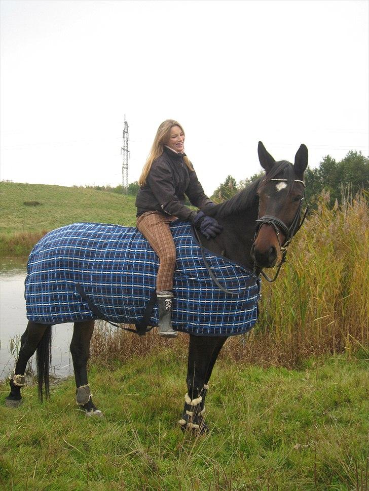 Dansk Varmblod Marco Bell - I love you more than I did before and if today I don't see your face. Nothing's changed, no one can take your place. It gets harder everyday billede 9