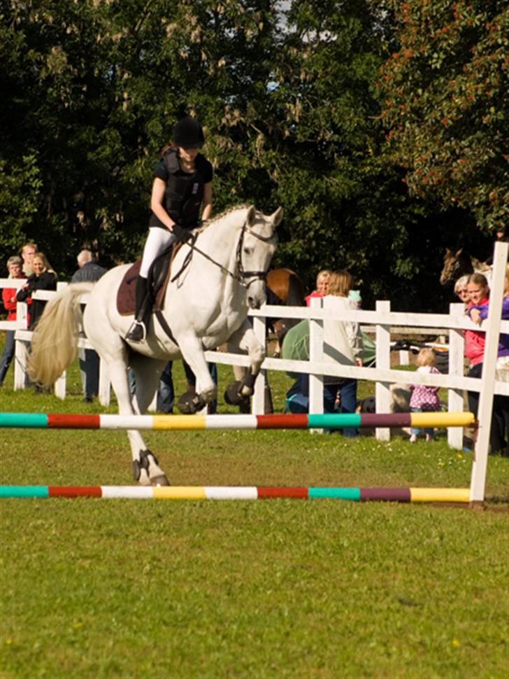 Trakehner Rose Moon - Mit og roses første stævne sammen. vi vandt 1. pladsen i spring :D <3 Foto: Johnny Pedersen billede 4