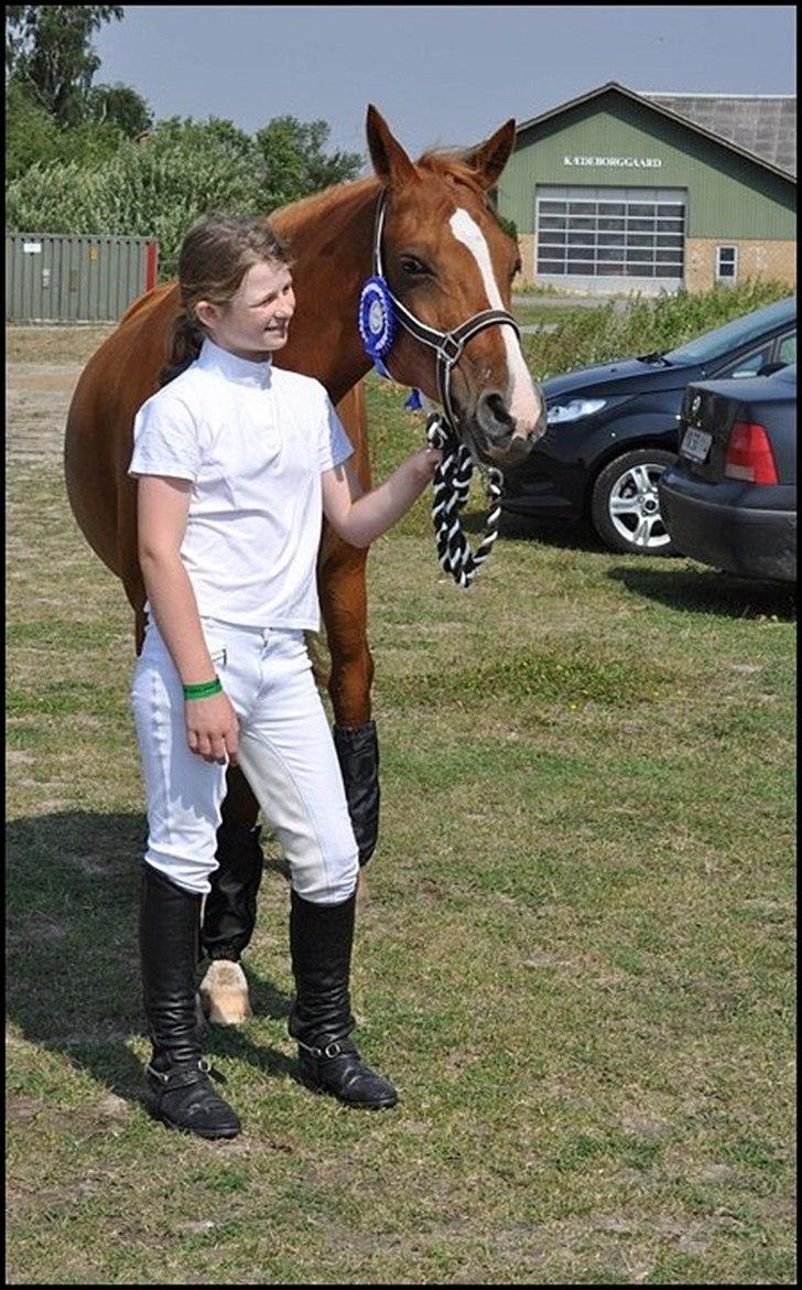 Hollandsk Sportspony Danja R.I.P. <3 - Efter stævne på GSPR. :-D Efter vi havde redet. Foto: Kristine Jørsboe. billede 11