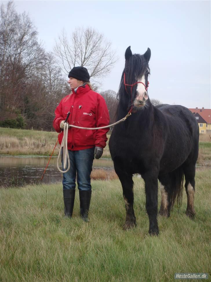 Tinker Zarmora R.i.P - På trække-tur i december 2009 billede 12