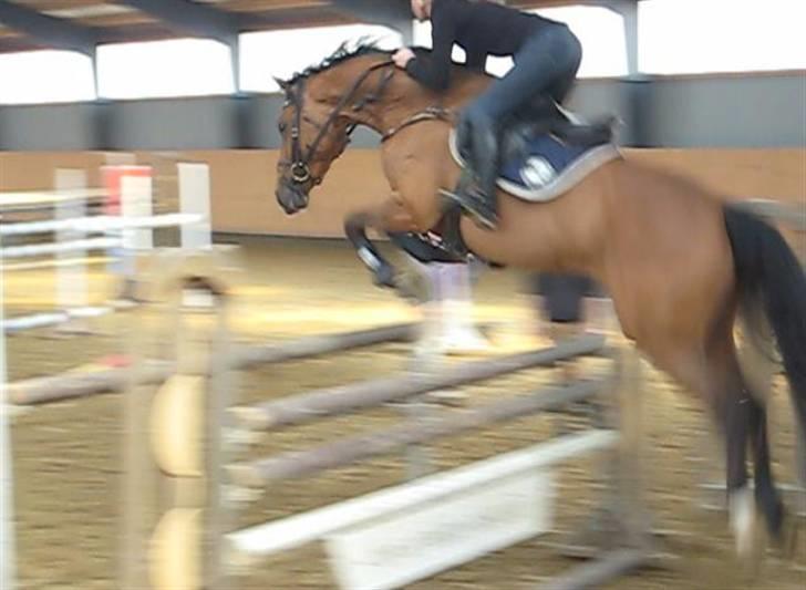 Holstener Venezia - Spring undervisning i Kolding. billede 2