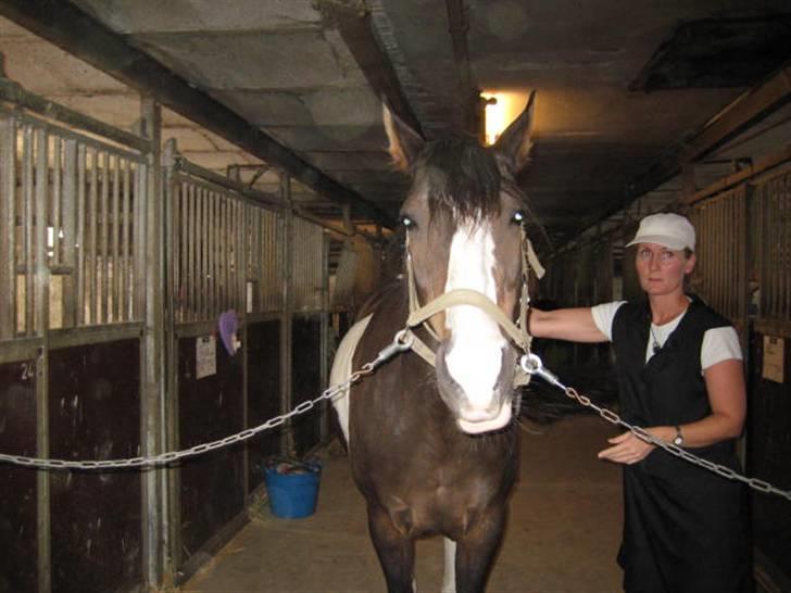 Pinto Mindy - [Red engang] - Første gang jeg skulle til undervisning på hende :) SKønne hest :) med mor billede 4
