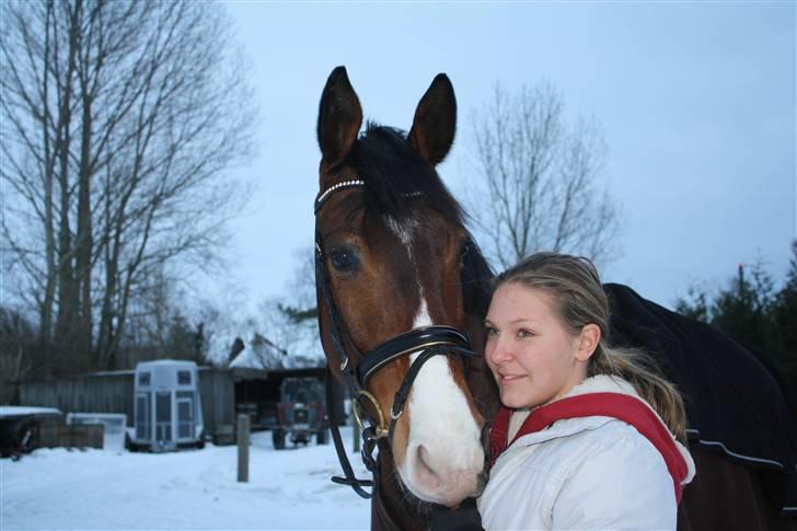 Trakehner Dalton - Solgt:') - Velkommen til Dalton´s profil <3 :) billede 1