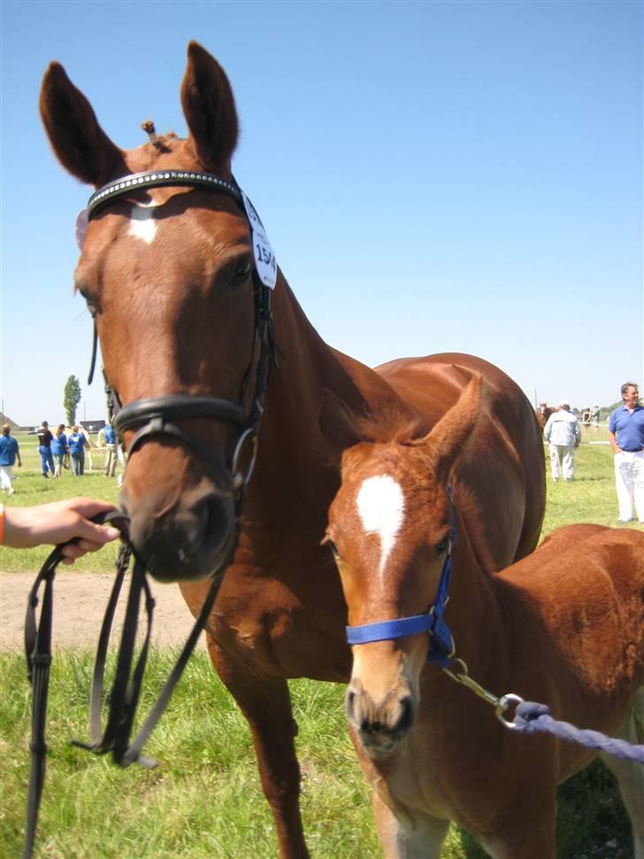 Frederiksborg Grethe Kolbe billede 6