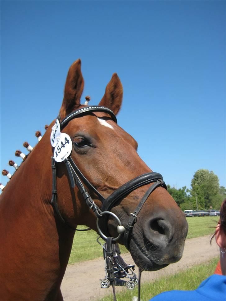 Frederiksborg Grethe Kolbe billede 7