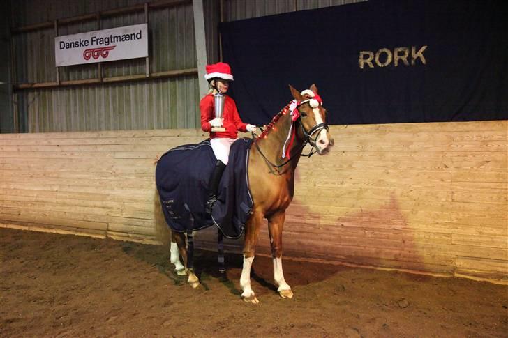 New Forest Kami - vinder af lille dressurpokal, klubmester 2009 billede 11