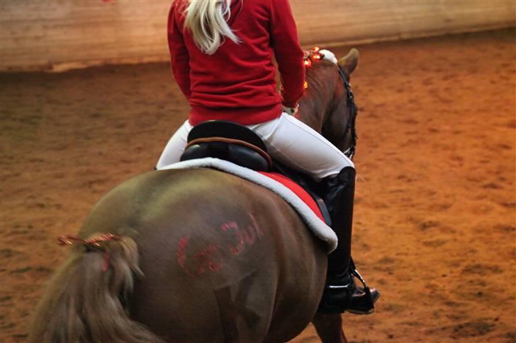 New Forest Kami - Julestæne LB kür 2009 billede 14