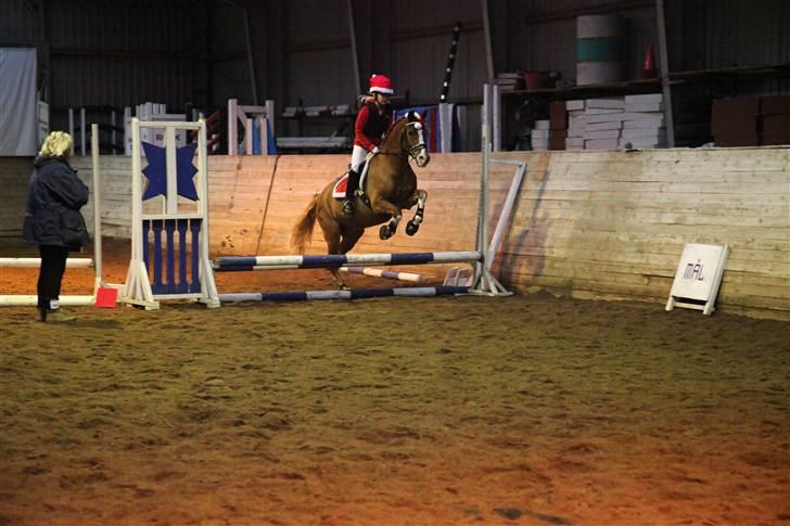 New Forest Kami - Julestævne 2009 billede 15