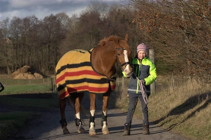 New Forest Kami - gode kamse hehe billede 16