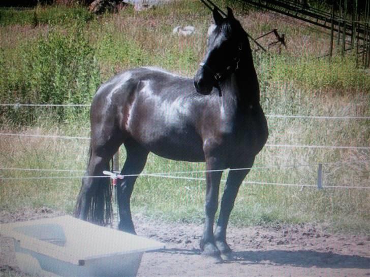 Frieser Miriam R.I.P. <3 - hehehe hun ved hun er blevet lækker! billede 10