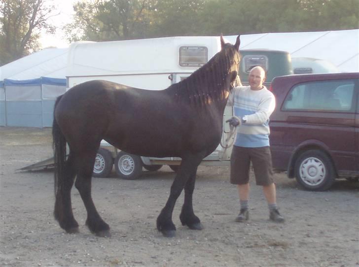 Frieser Miriam R.I.P. <3 - Så er på kommet til Wilhelmborg til friserkåringen, tidligt om morgenen.  og venter på godkendelse af dyrlægen. billede 12