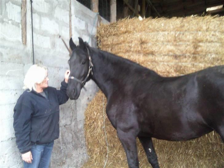 Frieser Miriam R.I.P. <3 - mimse og sanne :) billede 14