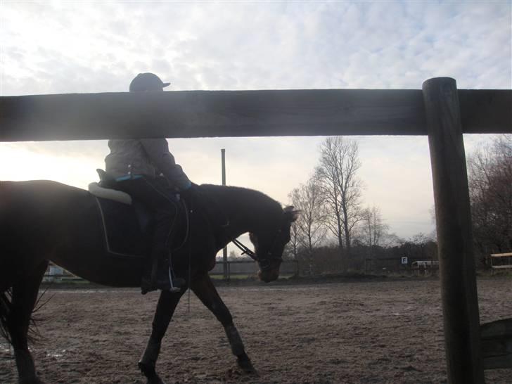 Anden særlig race Beauty  - Vi skridter =D. - Billed af Mille - billede 3