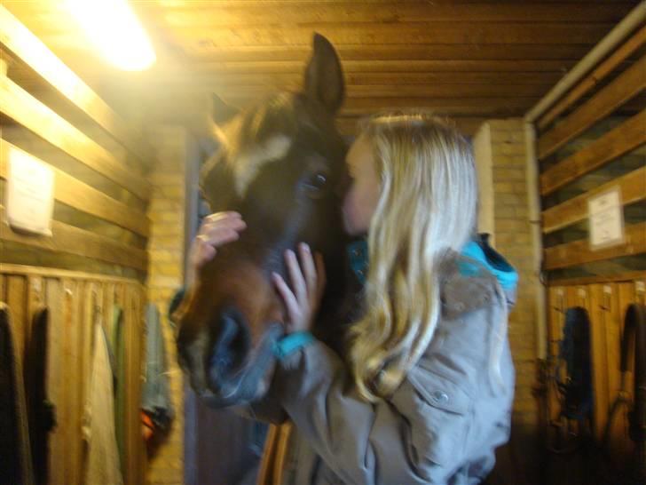 Anden særlig race Beauty  - Kyskys, den dejlige får et møs :D :*. - Billed af Mille - billede 4