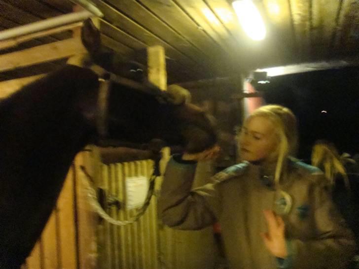 Anden særlig race Beauty  - Du er min stjerne <3 (:. - Billed af Signe - billede 6