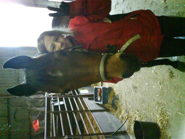 Anden særlig race trunde - mig og min smukke trunde<33 billede 1