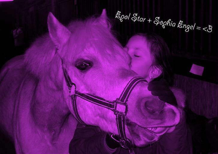 Hollandsk Sportspony Epol Star *Solgt* R.I.P - elsker dig billede 7