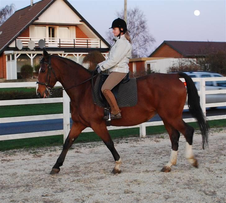 Anden særlig race Fanny - Foto: Trine/Tbsfoto billede 9