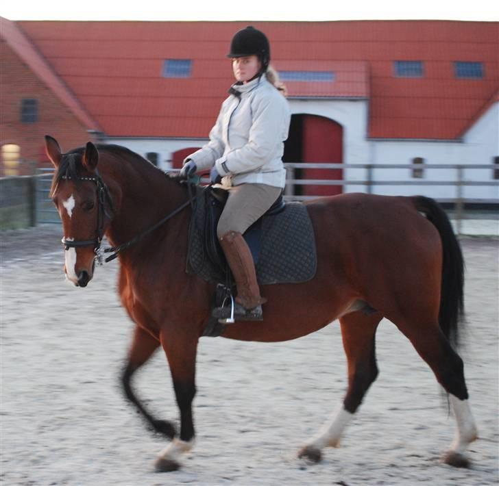 Anden særlig race Fanny - Foto: Trine/Tbsfoto billede 12