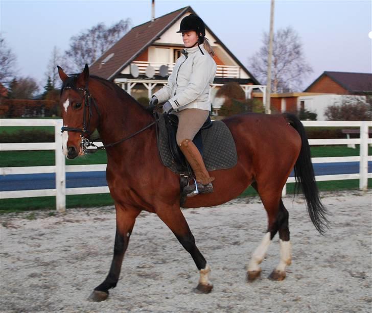 Anden særlig race Fanny - Foto: Trine/Tbsfoto billede 14
