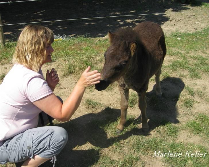 Anden særlig race Hope SOLGT - Sommer 08. Mor&Hope. 3 måneder. foto: Marlene billede 4