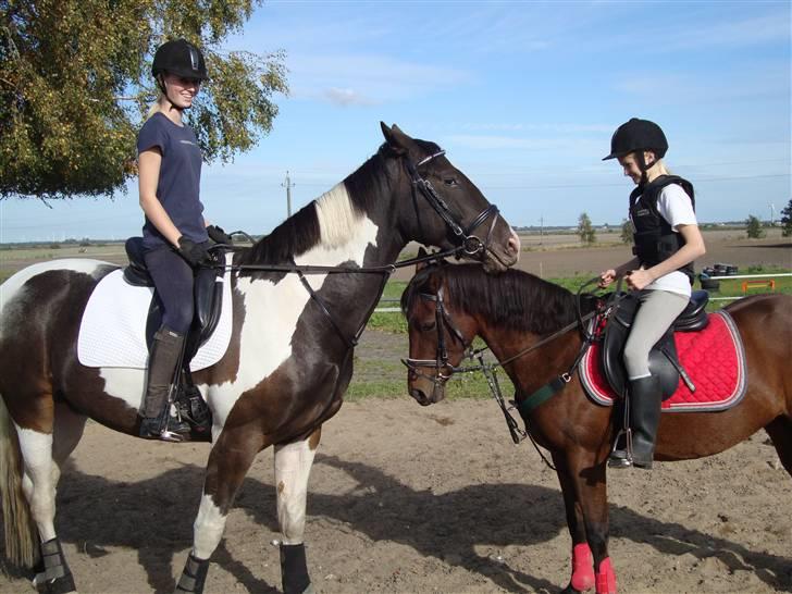 Anden særlig race Peanut<3 - Når søde Donna og Penaut <33 elsker jer så højt :)<3<3<3<3<3 billede 16