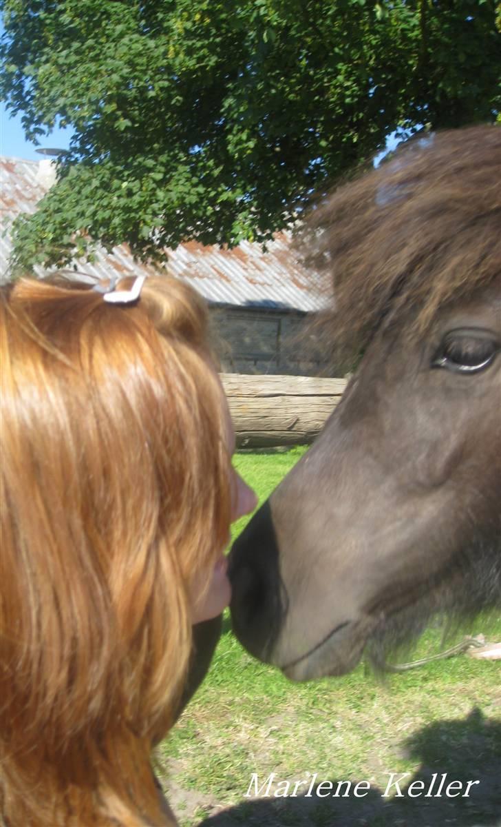 Anden særlig race Hope SOLGT - Sommer 09. Marlene & Hope. jeg elsker dig.  billede 19