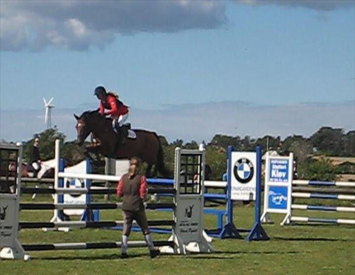 Holstener Venezia - Baby til stævne i Nordthy billede 7
