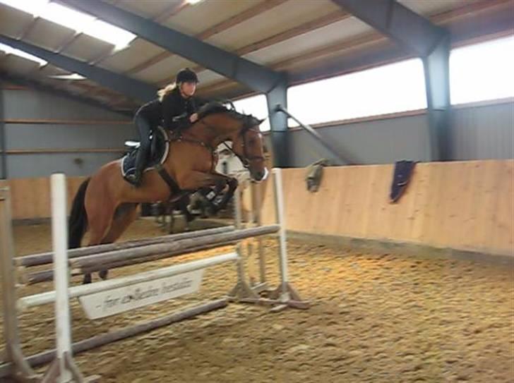 Holstener Venezia - Spring undervisning i Kolding. billede 8