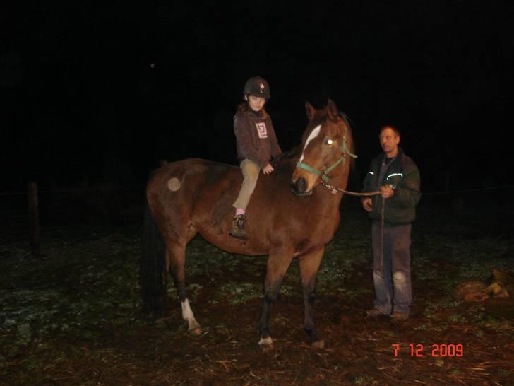 Dansk Varmblod Gladi - første gang jeg sider på hende  billede 8