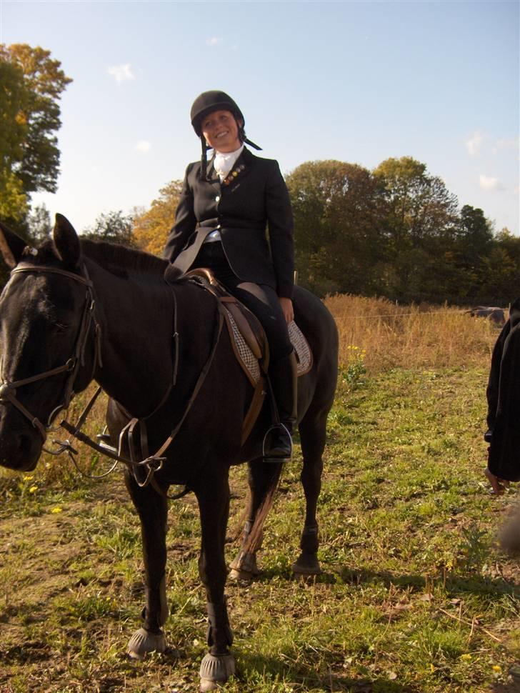 Dansk Varmblod Sahra- Må du hvile i fred billede 13