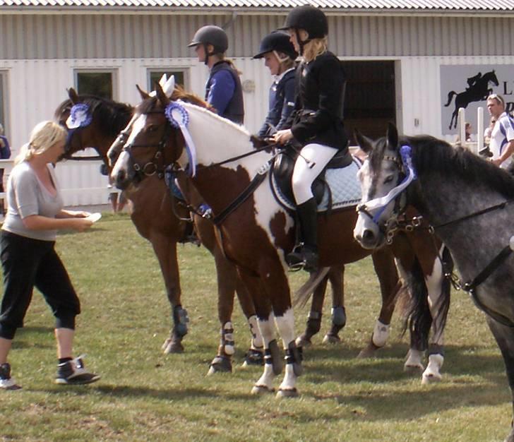 Pinto kelly <´3 billede 10