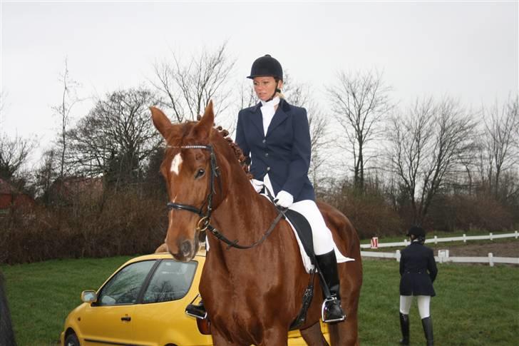 Dansk Varmblod Mirelle Kongeådal RDH R.I.P. - Venter spændt på at ride vores program.  billede 15