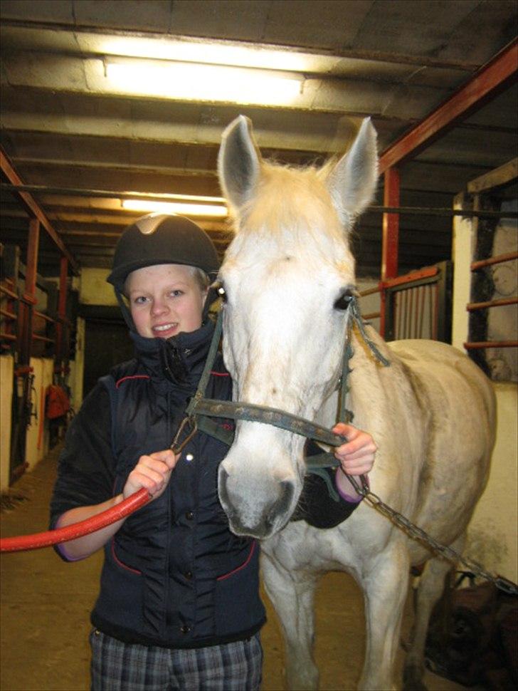 Anden særlig race Elvis Vibjerg (SOLGT) - velkommen til elvis´s profil billede 1