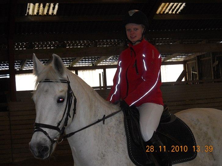 Anden særlig race Elvis Vibjerg (SOLGT) - Elsker det billed billede 10