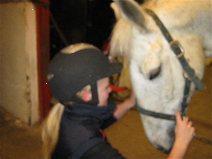 Anden særlig race Elvis Vibjerg (SOLGT) billede 13