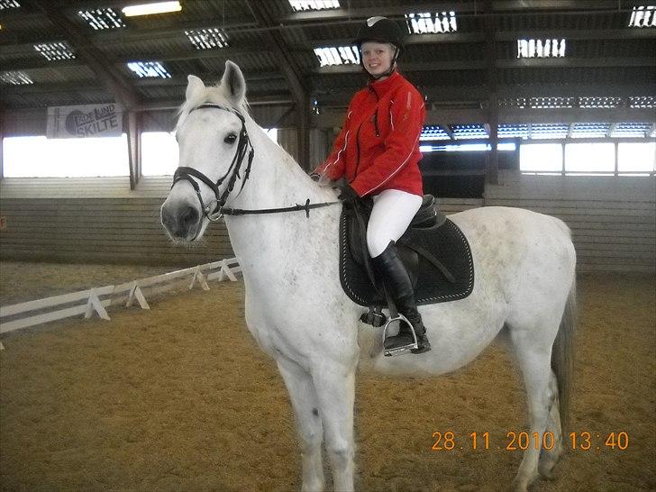 Anden særlig race Elvis Vibjerg (SOLGT) billede 14