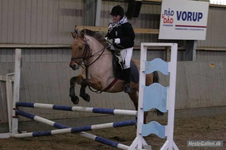 Anden særlig race Seven - wee min dejlige hest så tageer vi lige en LC på 80 du så dejlig kun den lyseblå driller lidt billede 20