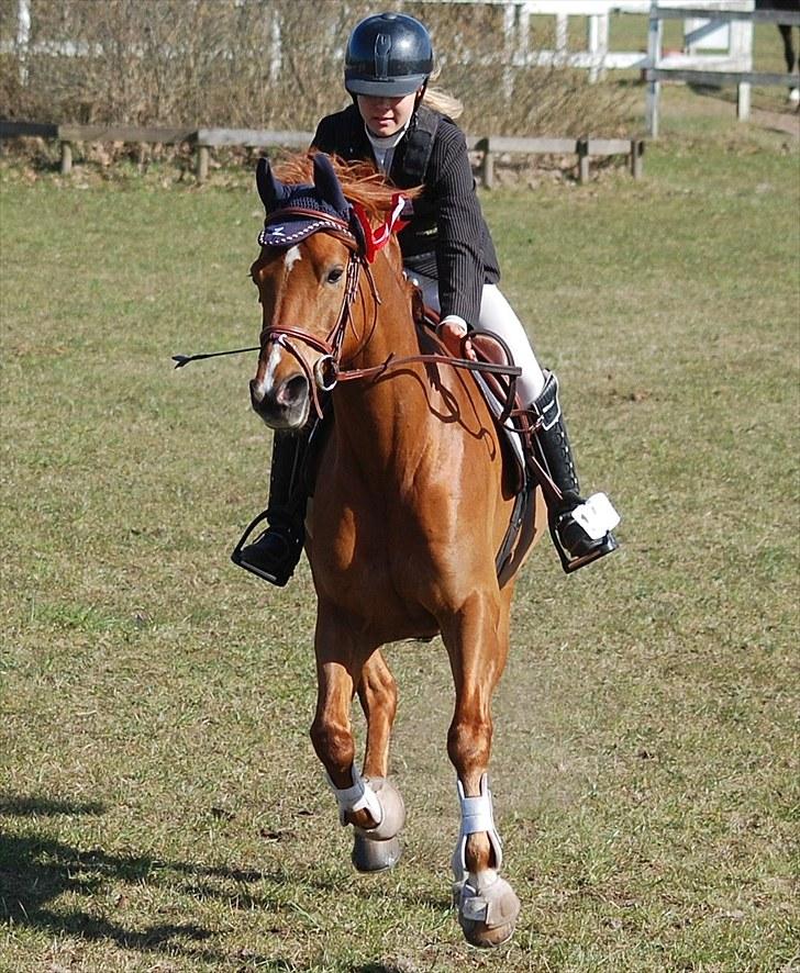 Anden særlig race MR.BOMBASTICK - Første LB i Uggerhalne vandt vi<3<3 billede 7