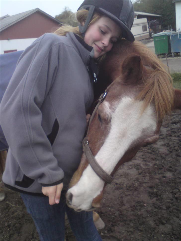 Anden særlig race Mazda - Mazda: Har du noget i hånden ? billede 17