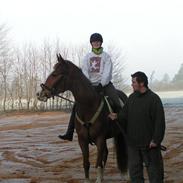 Anden særlig race Stormosens Bardolino RIP 2010
