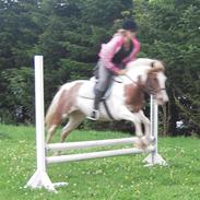 Anden særlig race Mr. Mulle<3 - Solgt :(